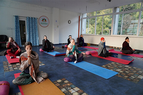 5 Day Yoga Retreat in Rishikesh
